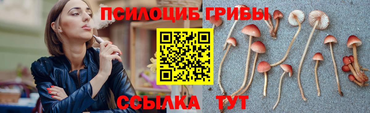 Псилоцибиновые грибы ЛСД Клин