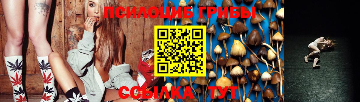 Псилоцибиновые грибы Psilocybe  Вход с VPN  Псилоцибиновые грибы Cubensis  Клин 