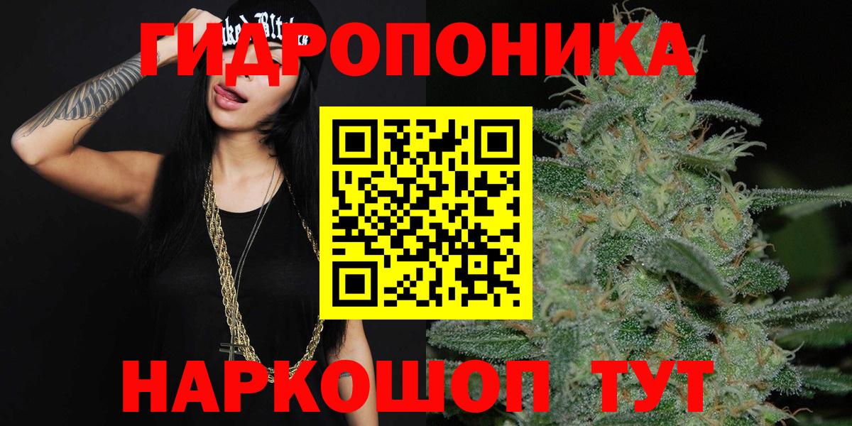 Канабис сатива  Конопля тримм  Бошки марихуана Bruce Banner  Канабис план  Клин  Вход с VPN 